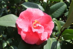 1_DSCF1364