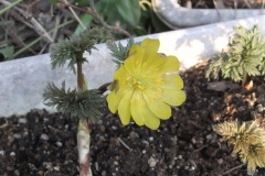 1_DSCF1382