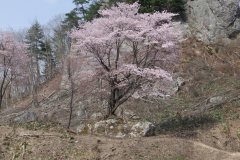 DSCF1463