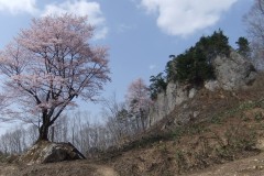 DSCF1470