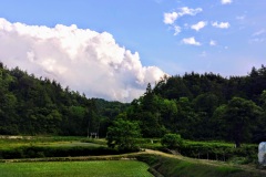 玉庭の風景