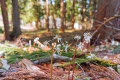 IMG_20200404_092426