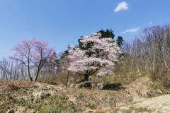 IMG_20200430_140845