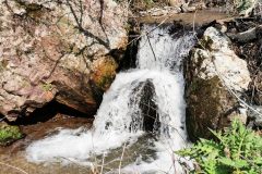 IMG_20200430_145152
