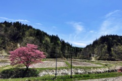 IMG_20200505_115330