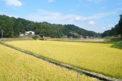P1060749