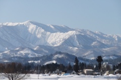DSCF1181