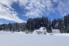 IMG_1422
