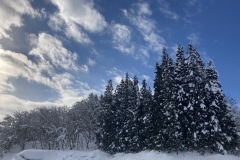 IMG_1434