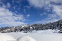 IMG_1441