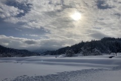 IMG_1450