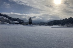IMG_1461