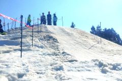 trashed-1773730240-DSC_2390